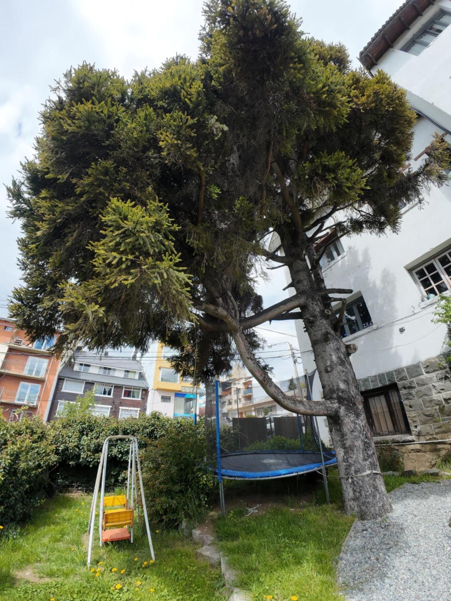 Temiscira Hostel San Carlos de Bariloche Exteriér fotografie