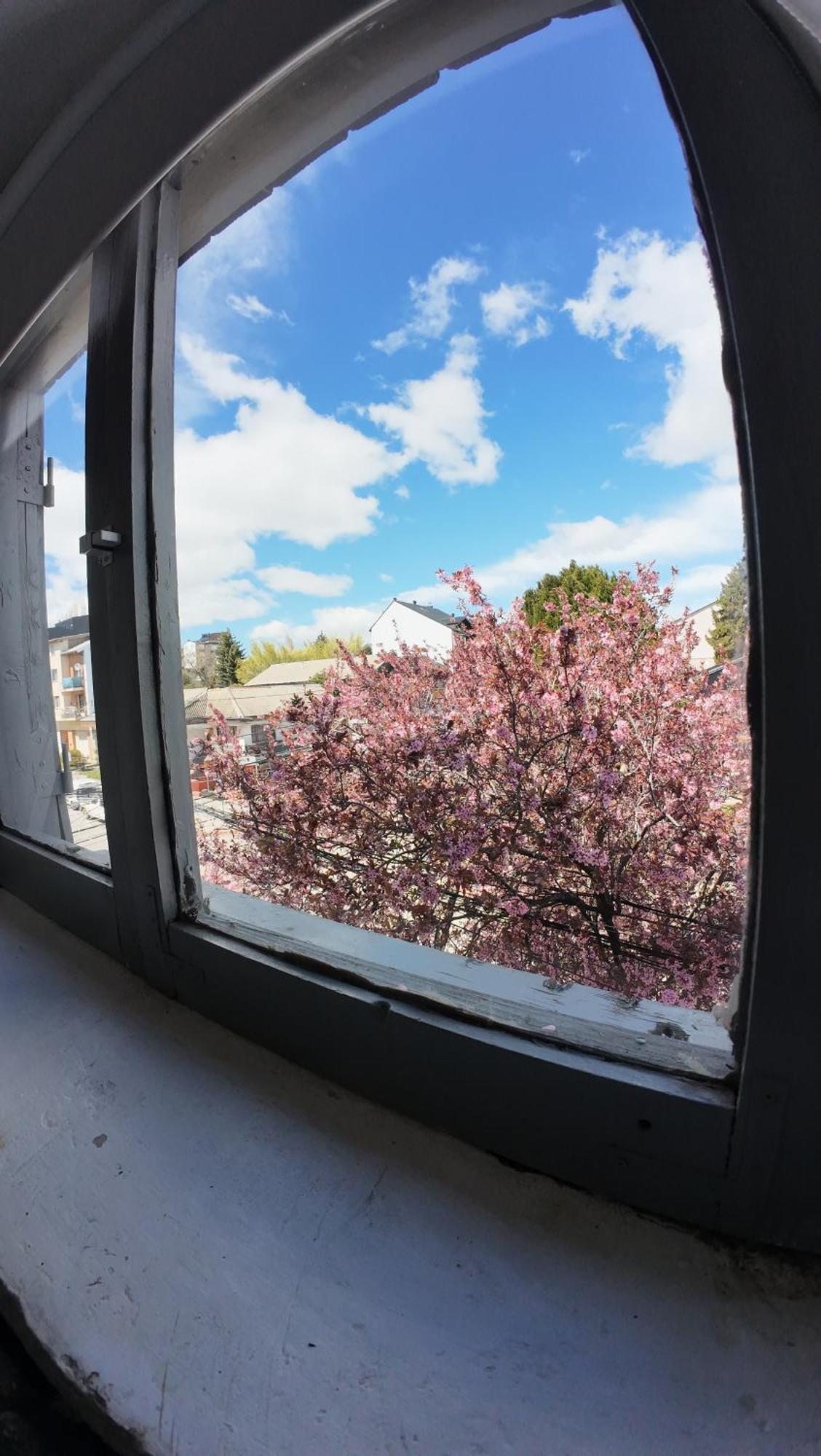 Temiscira Hostel San Carlos de Bariloche Exteriér fotografie